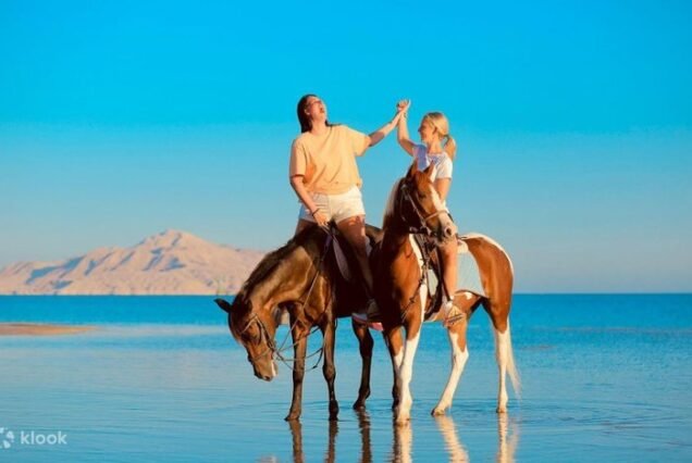 Desert horse riding in sharm el sheikh